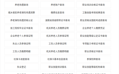 2022关于企业职工基本养老保险全国统筹信息系统上线的通告
